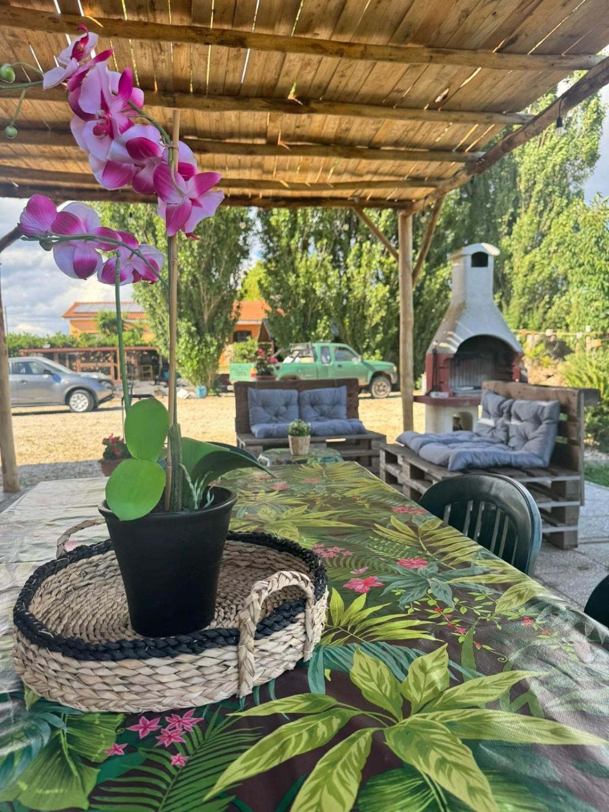 Willa Casa Il Sorbo Tarquinia Zewnętrze zdjęcie